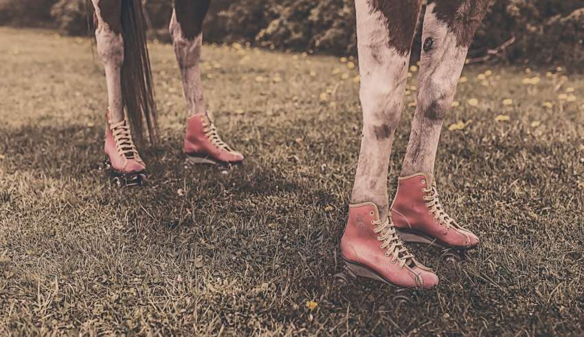 cobblers-shoes