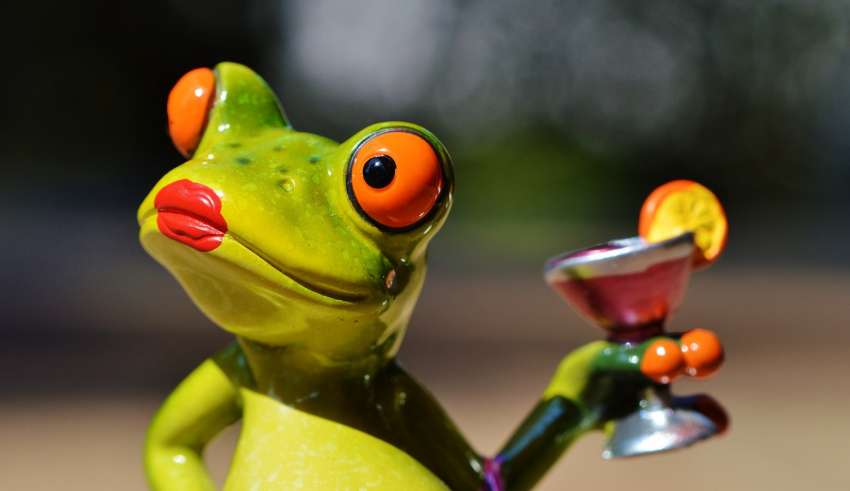 arrogant frog