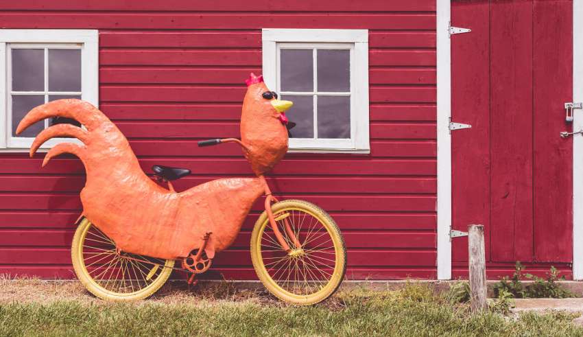 yellow chicken